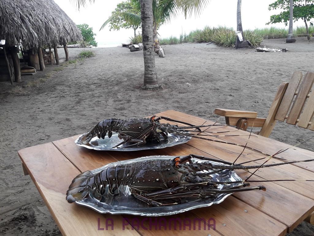 Hostal Pachamama Isla de Canas 外观 照片