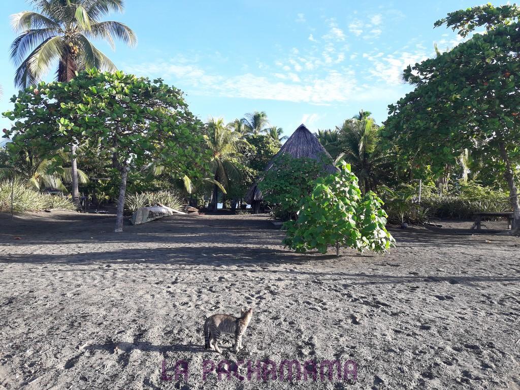 Hostal Pachamama Isla de Canas 外观 照片