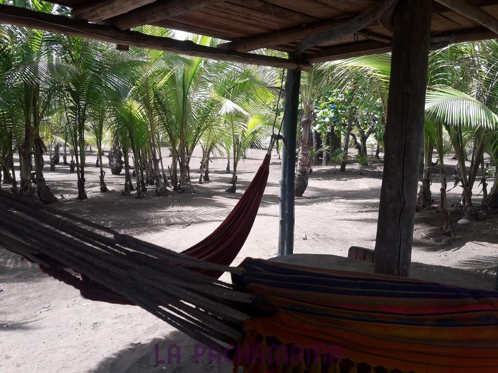 Hostal Pachamama Isla de Canas 外观 照片
