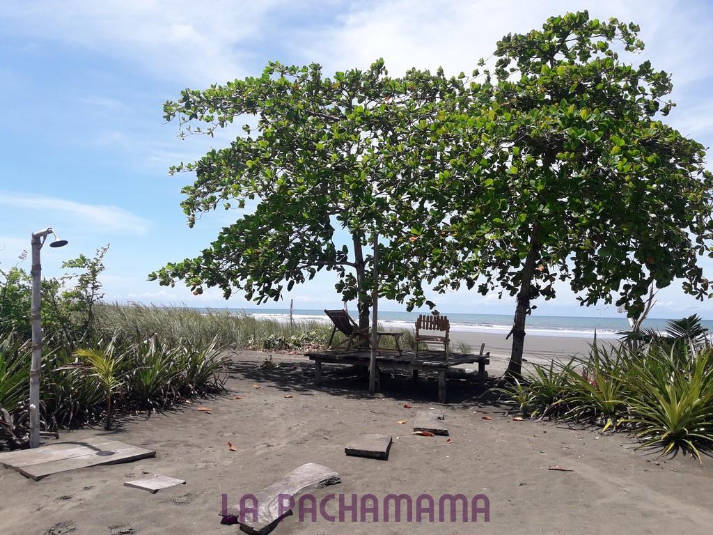 Hostal Pachamama Isla de Canas 外观 照片