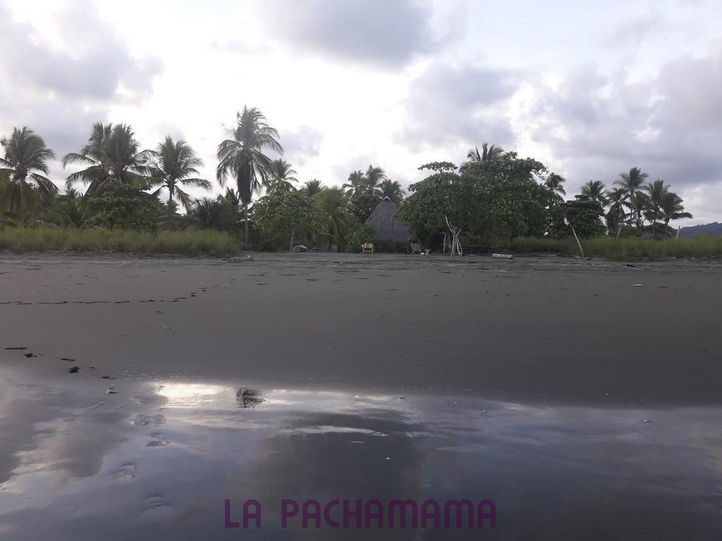 Hostal Pachamama Isla de Canas 外观 照片