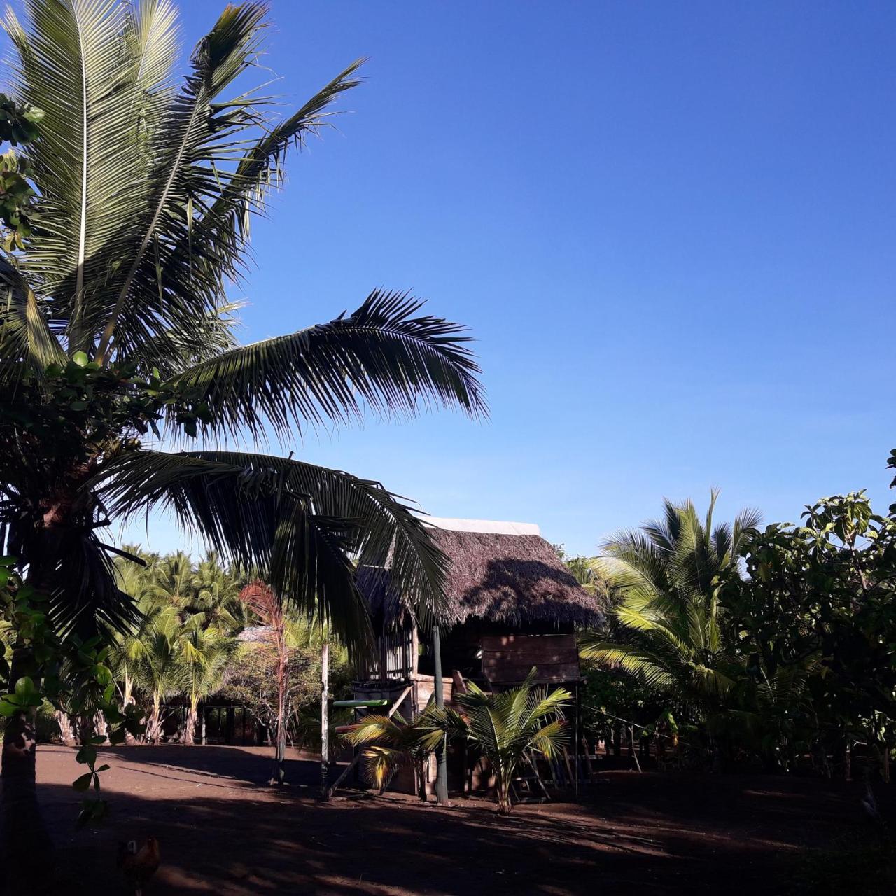 Hostal Pachamama Isla de Canas 外观 照片